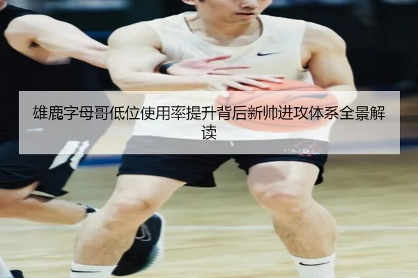 雄鹿字母哥低位使用率提升背后新帅进攻体系全景解读